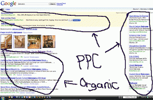 Google Organic Listing SEO Example