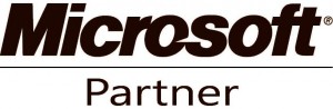 Microsoft Program Website Design