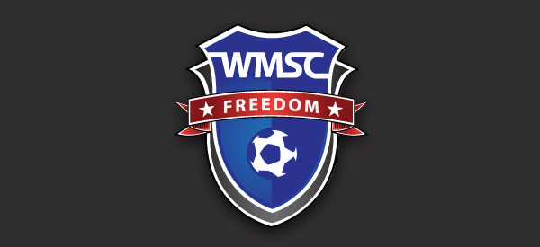 wmsc_logo Atlanta Web Design